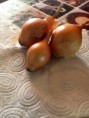 Cebola para salada